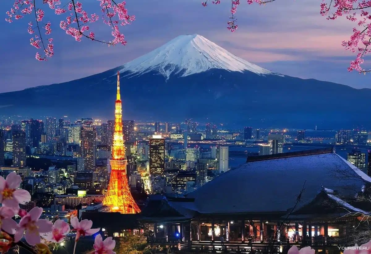 kyodo-sammit-yaponiya-centralnaya-aziya-20-dekabrya