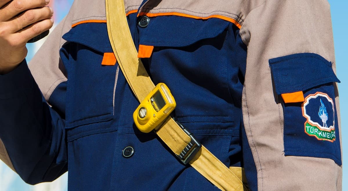 tek-turkmenistan-zelenye-standarty-tapi