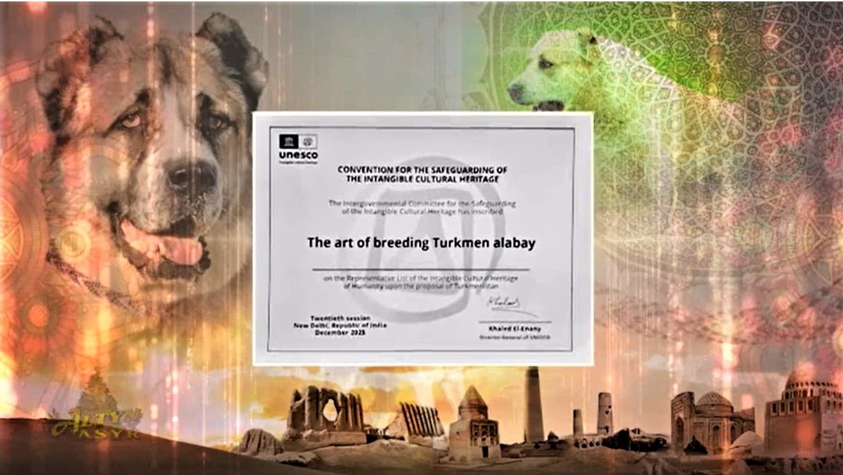sign-global-recognition-alabai-ashgabat-hosts-unesco-certification-ceremony