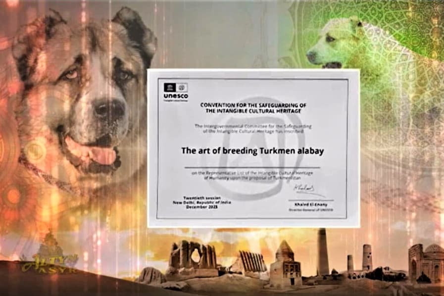 turkmen-alabayynyn-dunya-derejesindaki-ykrarnamasy-asgabatda-yunesko-nyn-guwanamasy-resmi-taydan-kabul-edildi