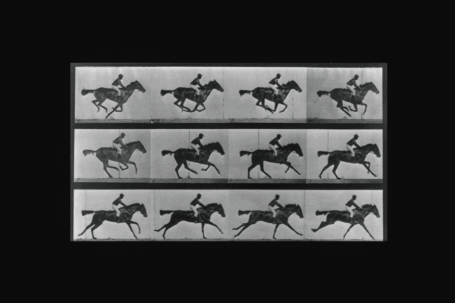 photograph-history-how-horses-flight-gave-world-cinema-and-transformed-science