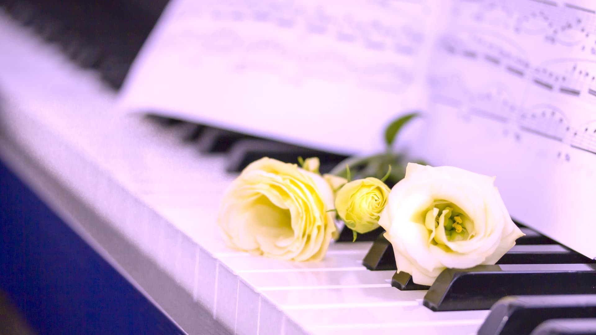 three-heroes-russian-music-once-again-conquered-ashgabat-public