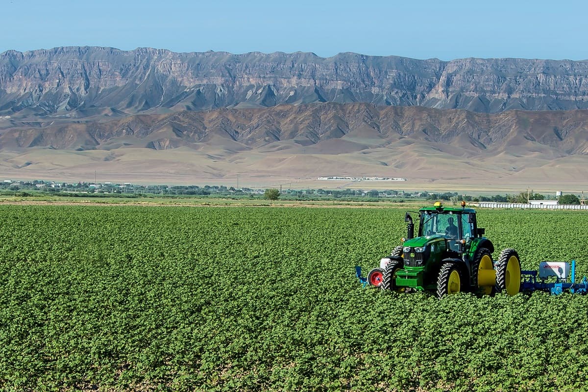 turkmenistan-agribusiness-financial-support-2026