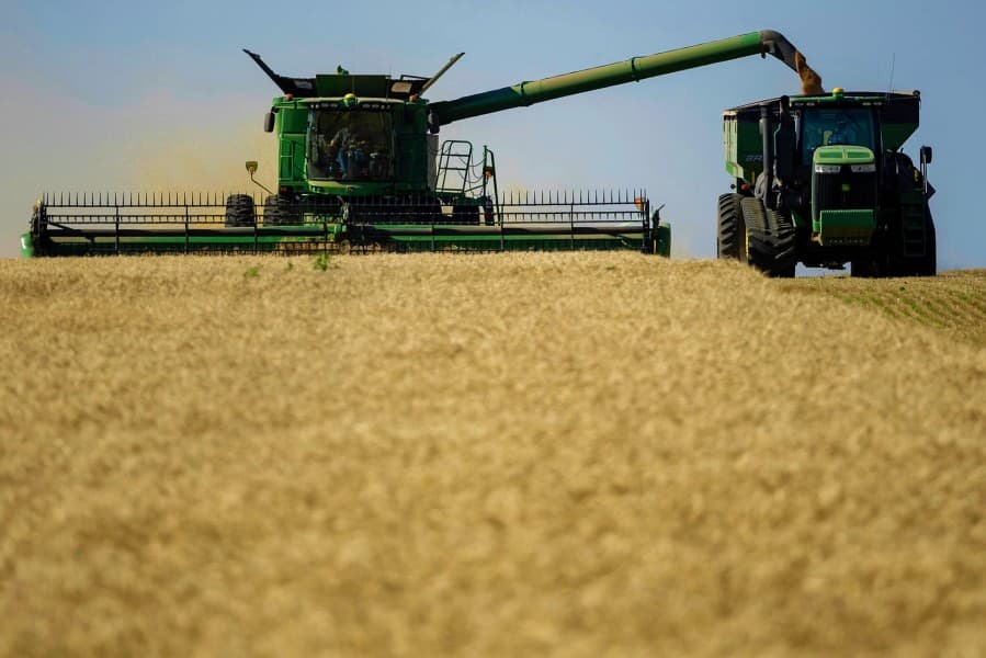 The Start Dates for the Grain Harvest in Turkmenistan Have Been Announced – the Harvest Will Begin on June 3