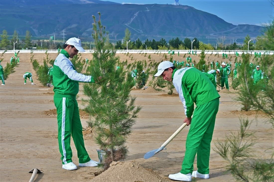 all-national-tree-planting-campaign-turkmenistan-march-2026