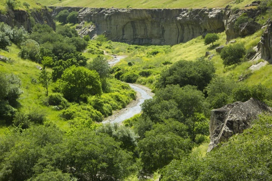 merkezi-aziyada-suw-howpsuzlygy-meselesi-daskentdaki-sebit-forumynda-ara-alnyp-maslahatlasylar