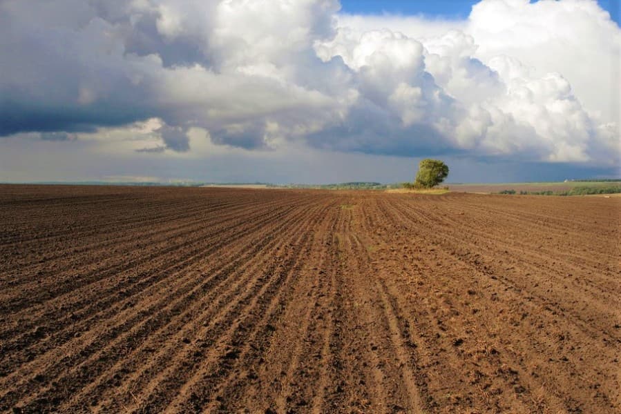 cotton-sowing-turkmenistan-begins-march-25