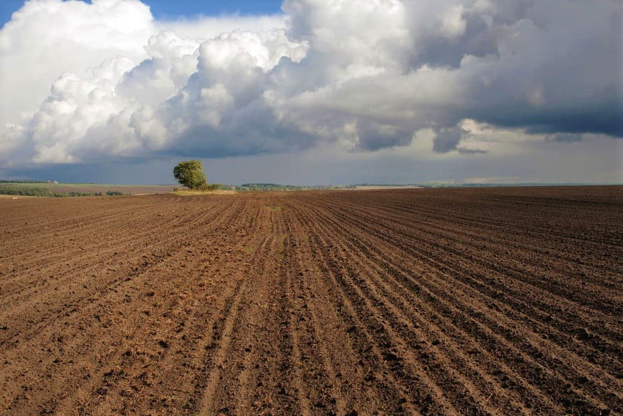 turkmenistan-regional-development-agriculture