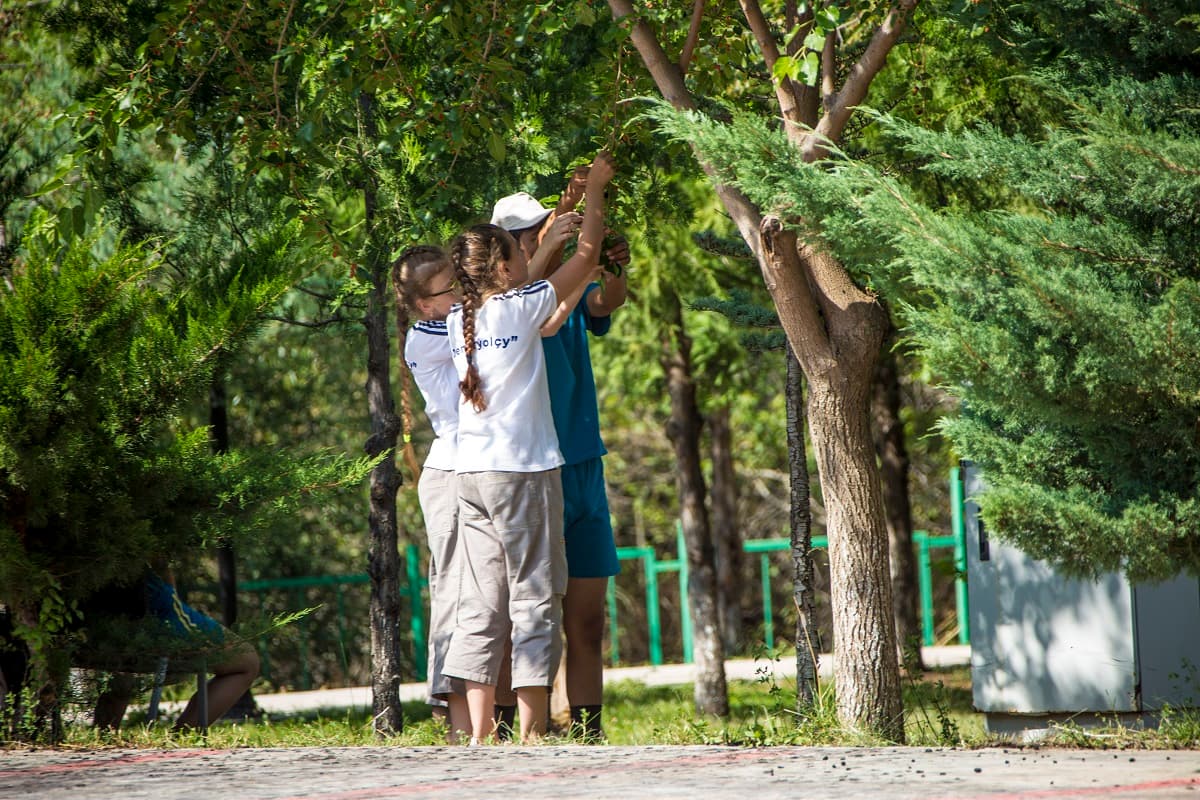 turkmenistan-planting-3-million-trees-2026