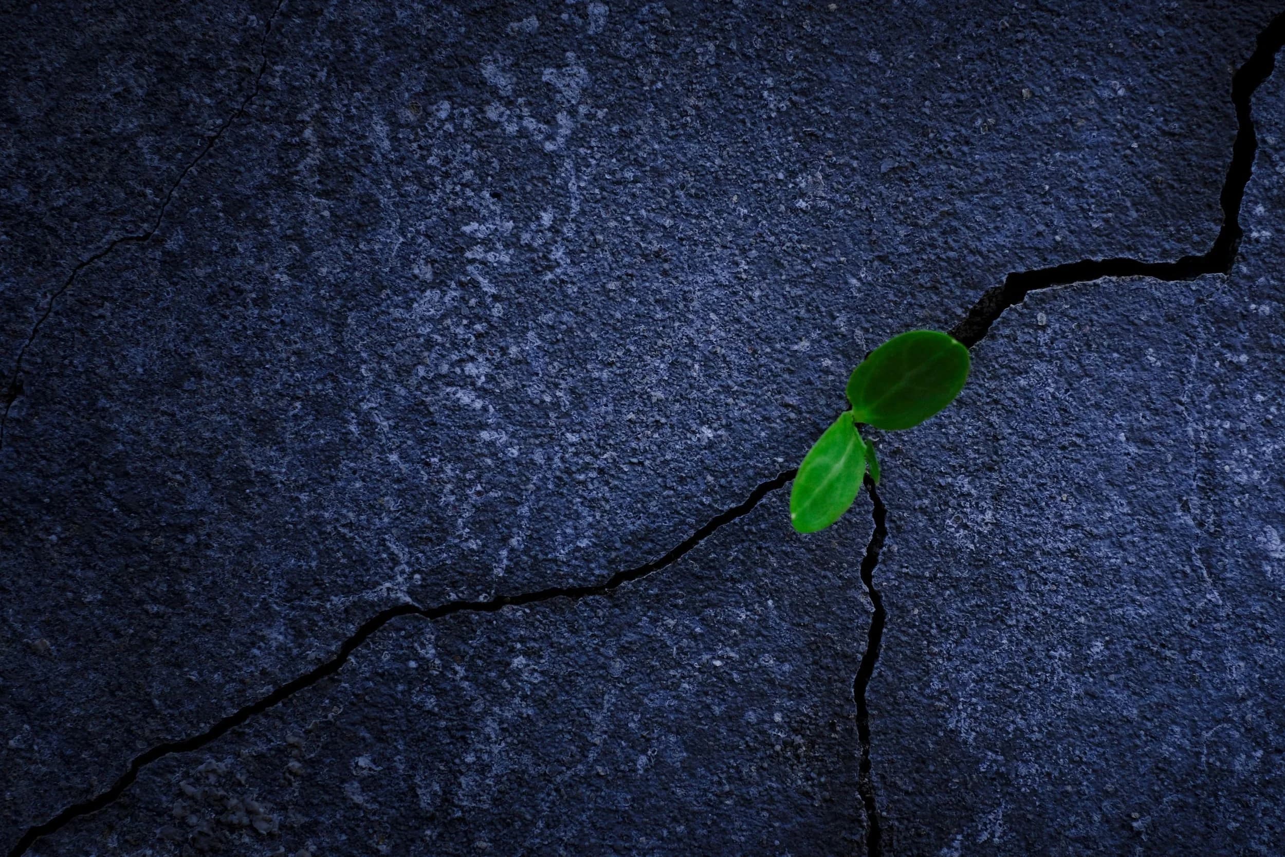 power-of-managed-discomfort-and-discipline