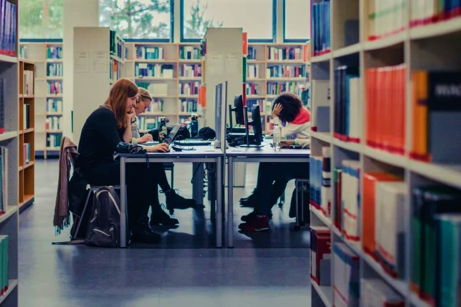 turkmenistan-romania-university-training-specialties-2026