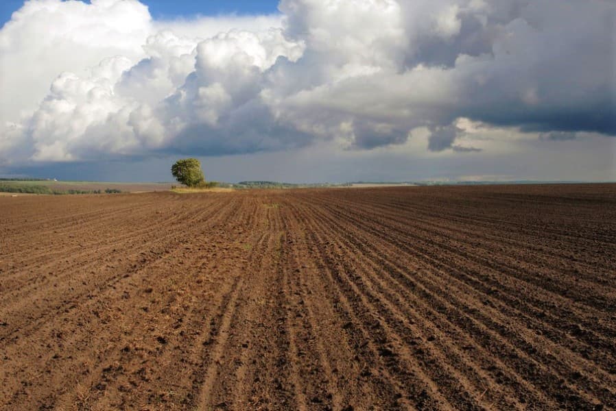 turkmenistan-yazky-ekis-mowsumine-tayyarlanyar