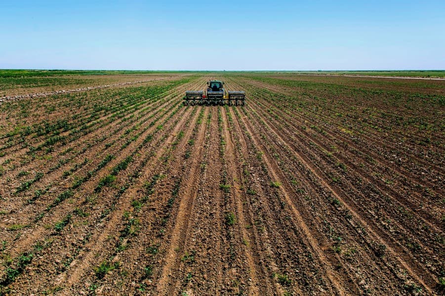 turkmenistanyn-oba-hojalyk-toplumy-onumcilik-mocberlerini-93-artdyrdy-2026-njy-yylyn-hasylyna-tayyarlyk-baslandy