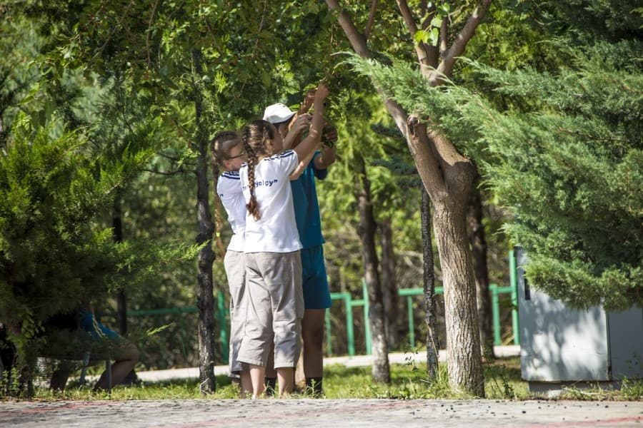 three-million-seedlings-will-replenish-turkmenistans-green-spaces