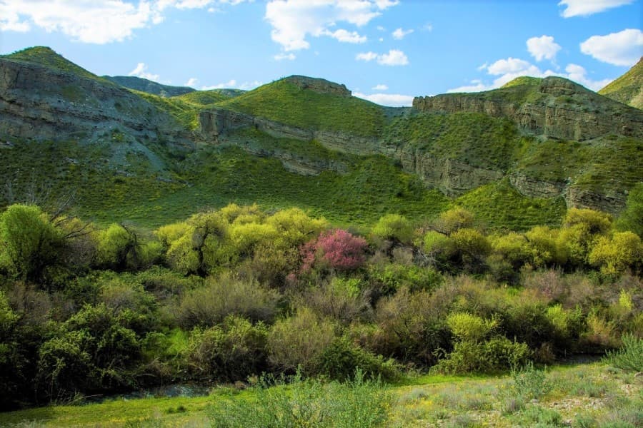 musical-journey-through-mountains-composer-kerimguly-garovov