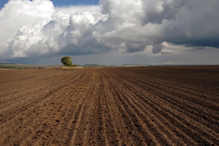 president-turkmenistan-working-meeting-agriculture-winter-2026