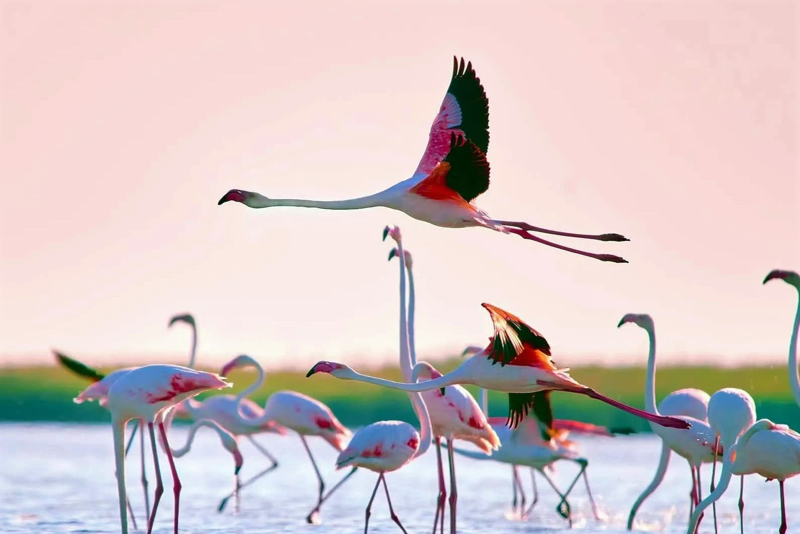 regional-environmental-summit-astana-2026-un-support