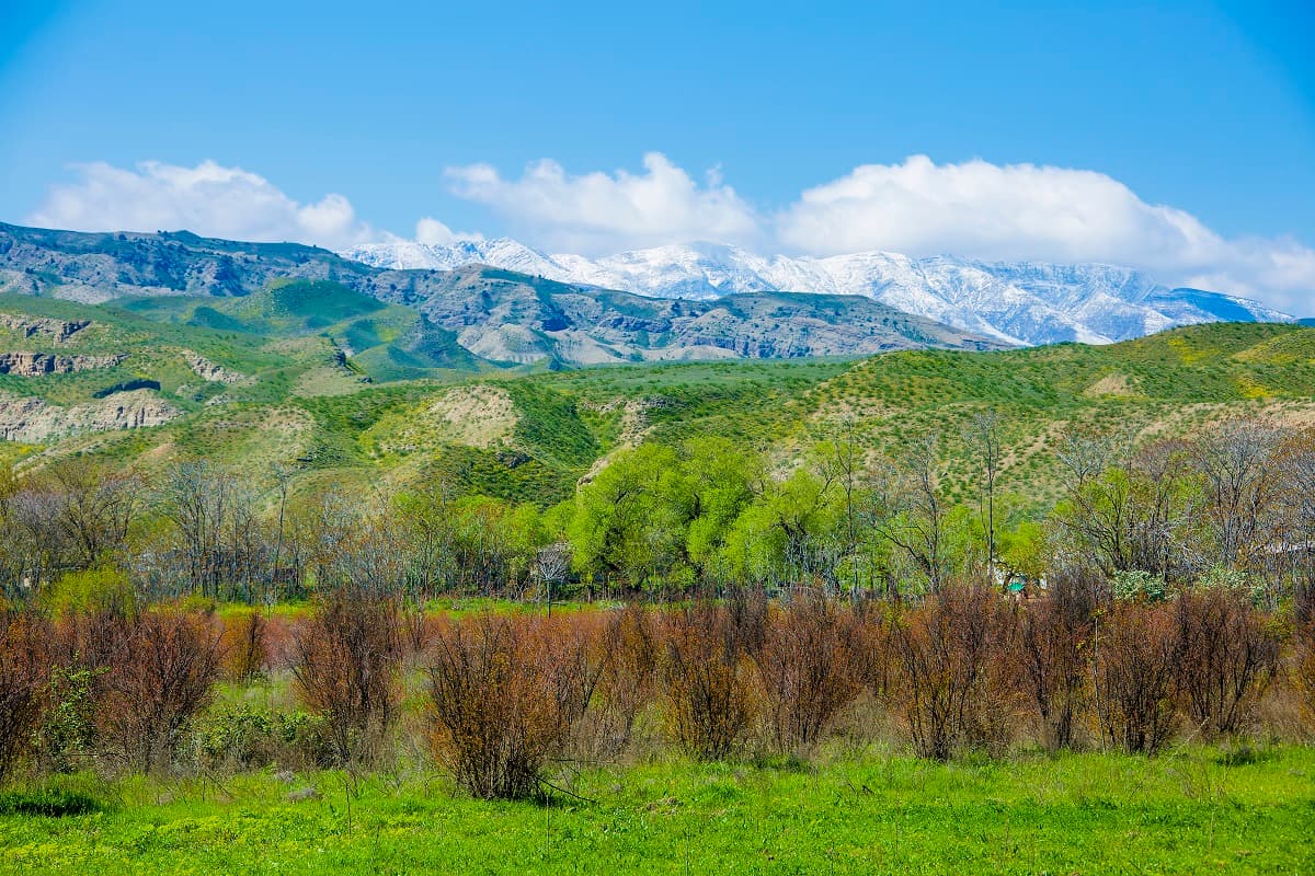 eu-invests-extra-2-million-euro-turkmenistan-green-development