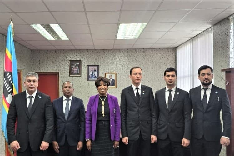 turkmenistan-eswatini-business-it-projects-2026