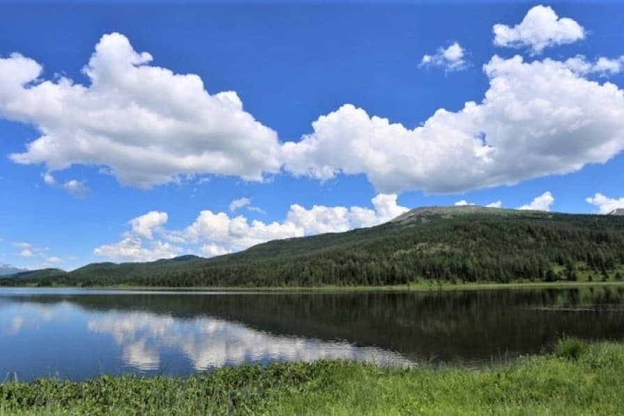 dusenbe-suw-prosesi-2026-dunya-ahlumumy-yetmezcilige-jogap-gozlemek-ucin-birlesyar