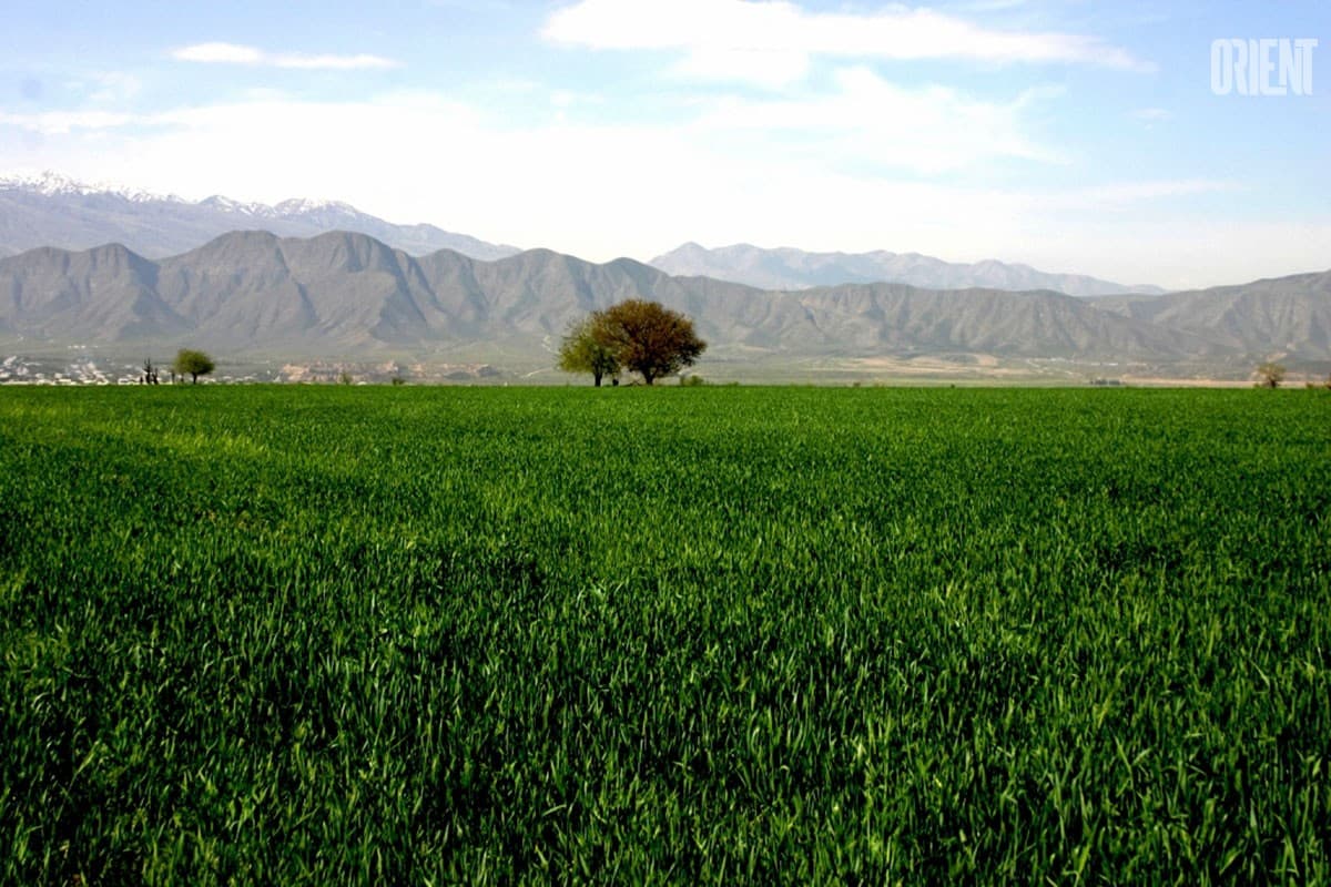 turkmenistan-obnovil-nacionalnuju-strategiju-po-izmeneniju-klimata