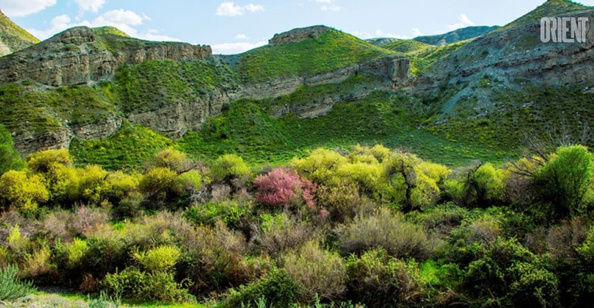 obshhestvo-ohrany-prirody-turkmenistana-zapustilo-sbor-plastika