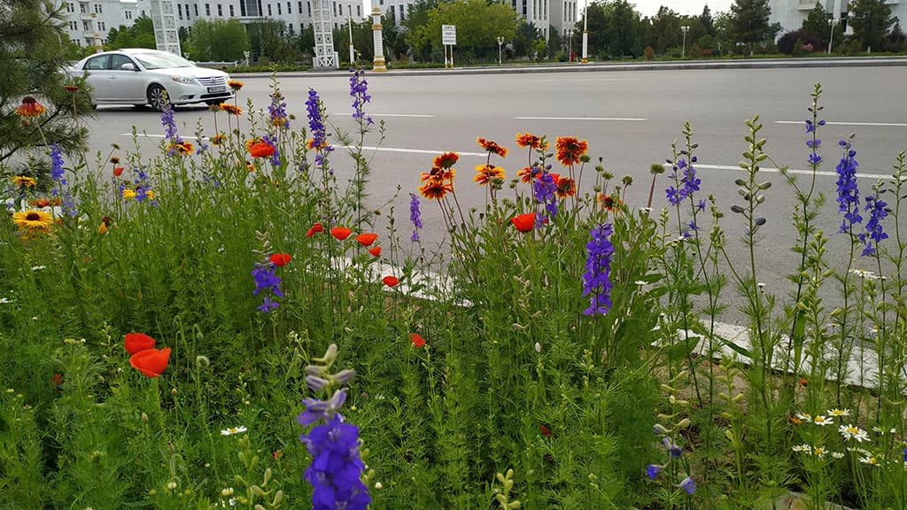 15-17-aprelya-ozhidaetsya-vetrenaya-pogoda