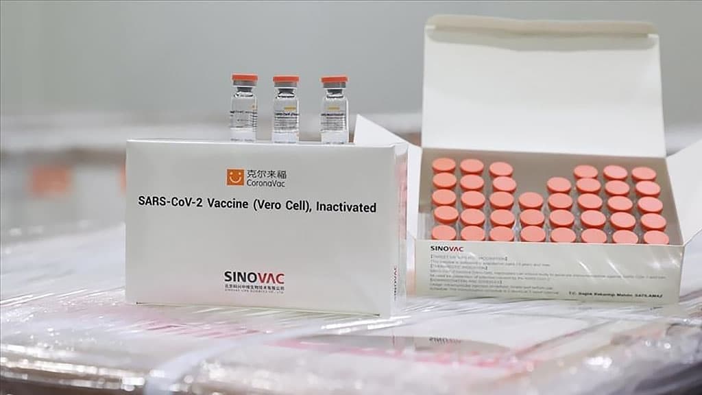 ВОЗ одобрила китайскую вакцину Sinovac COVID-19 для экстренного использования