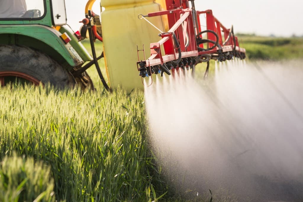 USAID Hosts Online Workshops on Best Practices for Protecting Horticultural Crops