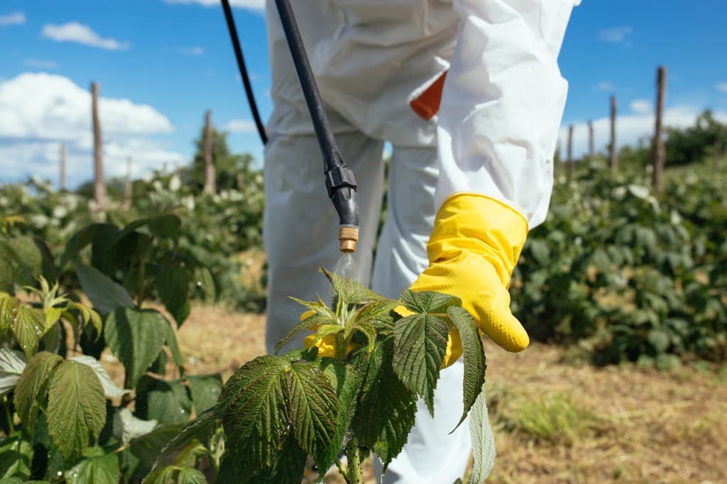 The tender for purchase of agents for pest control