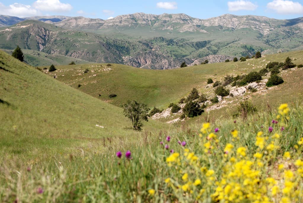 gotovitsya-k-izdaniyu-chetvertaya-redakciya-krasnoj-knigi-turkmenistana