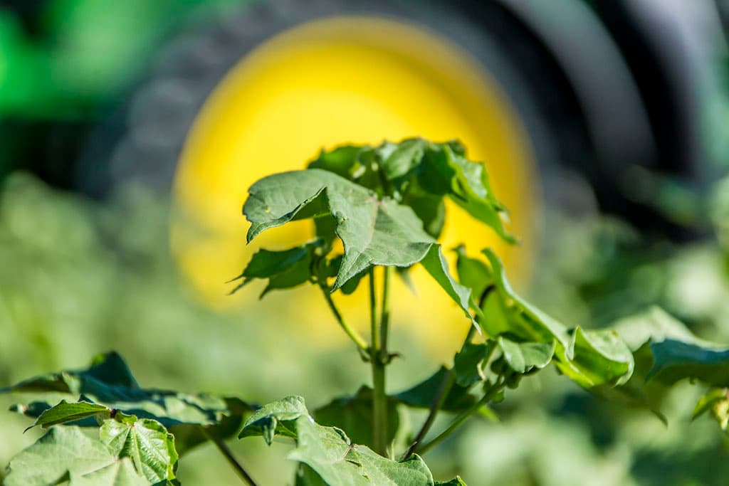 Heads of regions and districts of Turkmenistan reported the president on agricultural activities in places