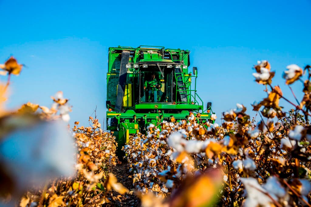 Cotton harvest begins in Turkmenistan