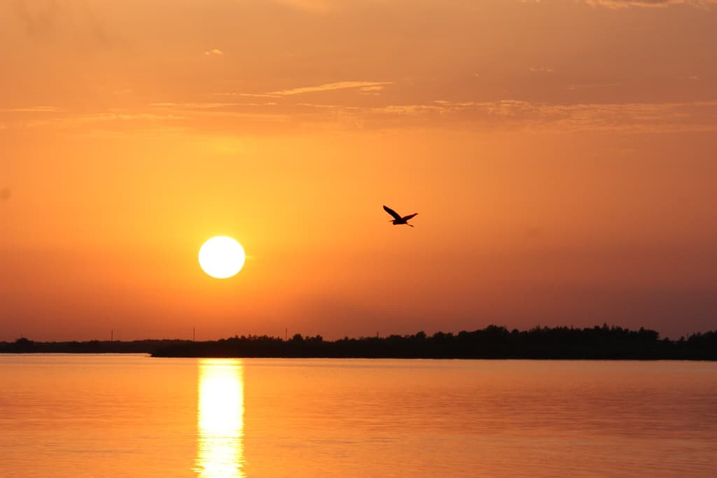 usaid-organizes-workshop-small-and-medium-sized-businesses