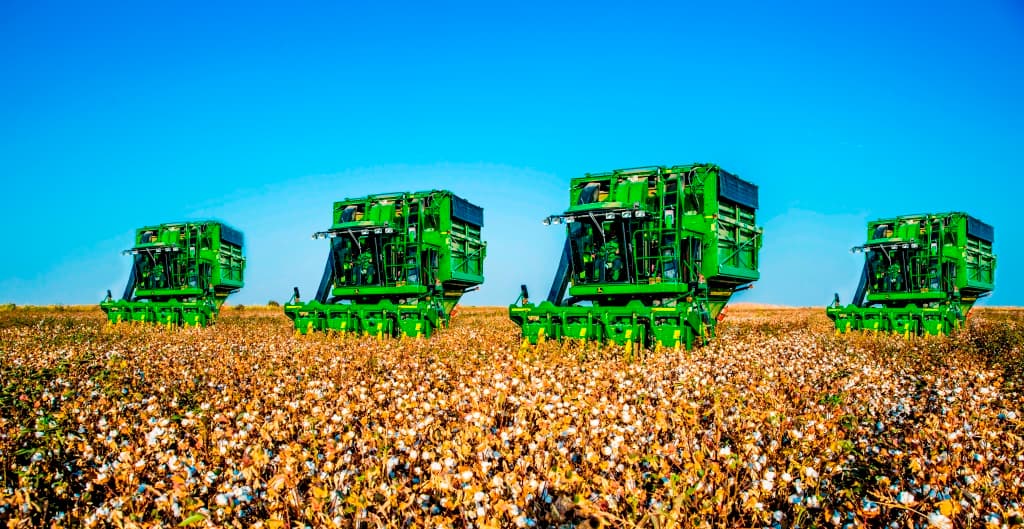 k-sboru-hlopka-pristupili-v-severnom-regione-turkmenistana