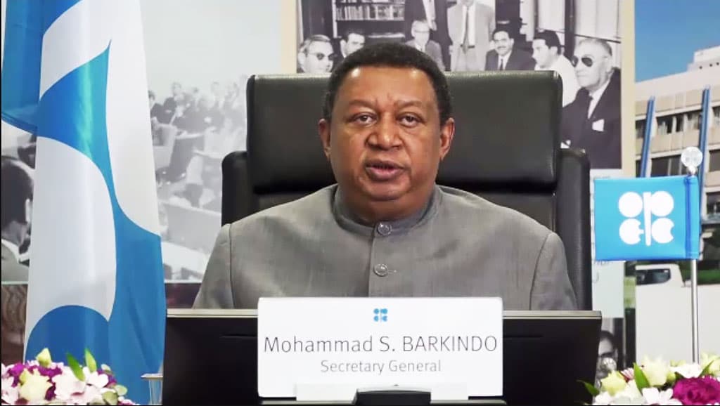OPEC Secretary General announced the organization's readiness to strengthen relations with Turkmenistan