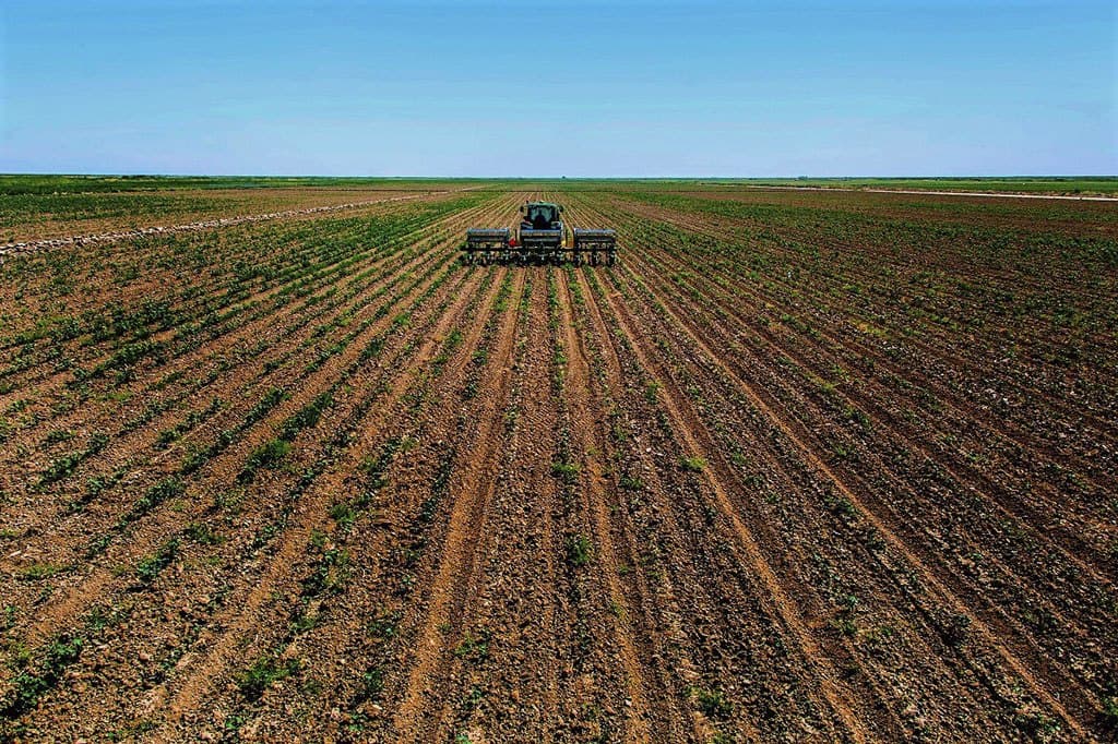 Business overview: 8 tenders, trade with Iran and antivirus remedies of indigenous production