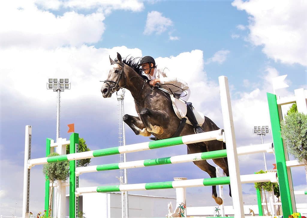 Berdimuhamedov ordered to allocate funds for horse breeding