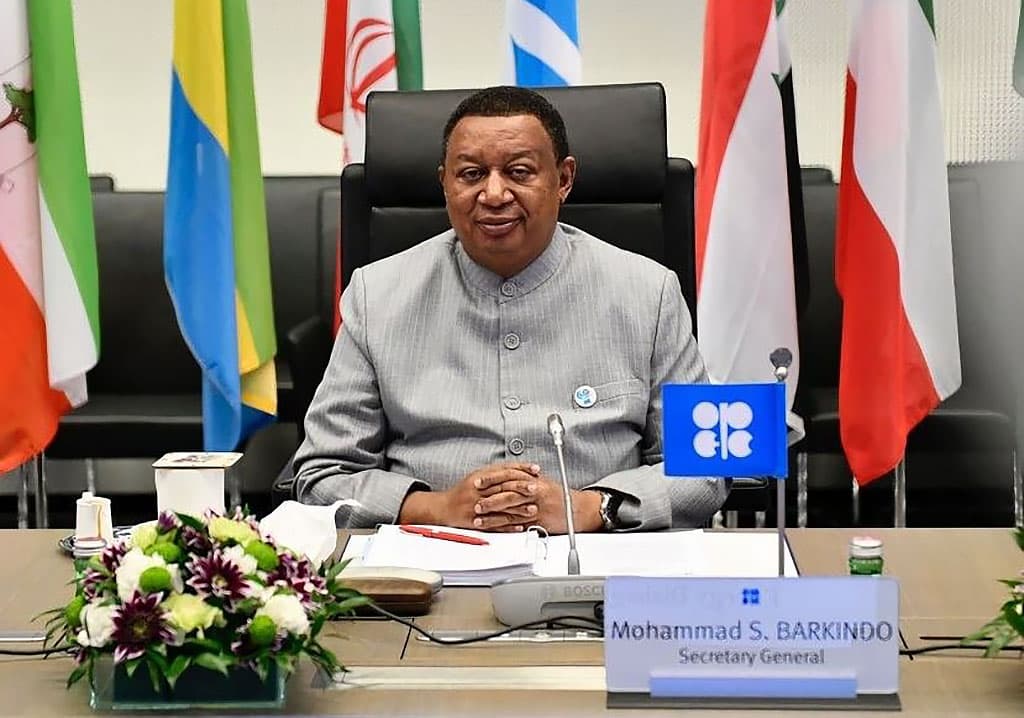 The head of OPEC spoke at the plenary meeting of OGT-2022