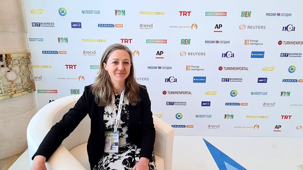 The British Ambassador noted the "green" orientation of OGT-2022