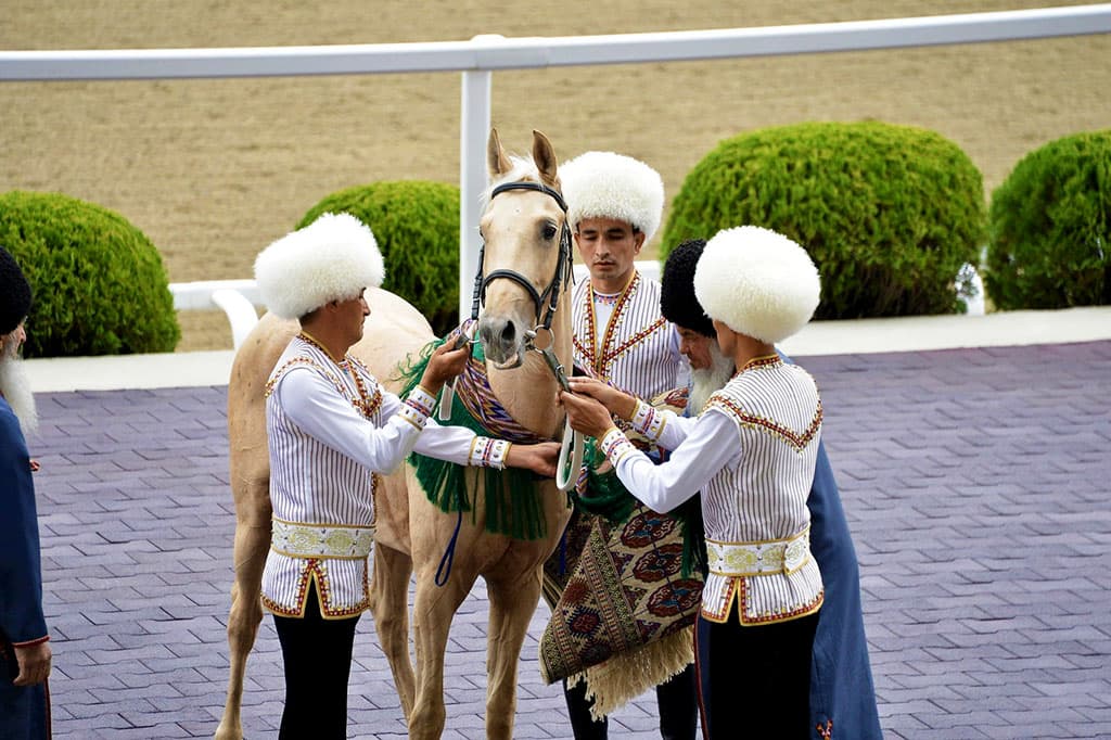 Serdar Berdimuhamedov set tasks for the development of Akhal-Teke horse breeding
