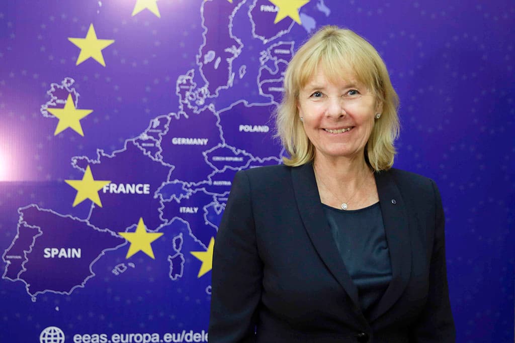 EU Special Representative: Central Asia can "glue" West and East
