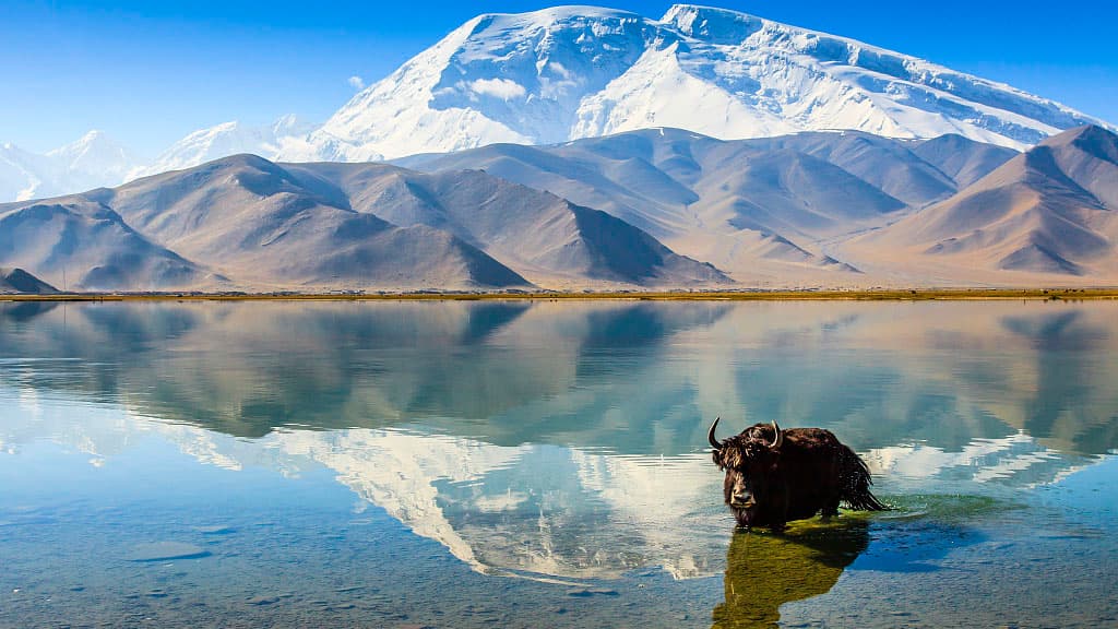 v-ashhabade-proshel-trening-po-ocenke-transgranichnogo-vozdejstviya-proektov-na-ekologiyu