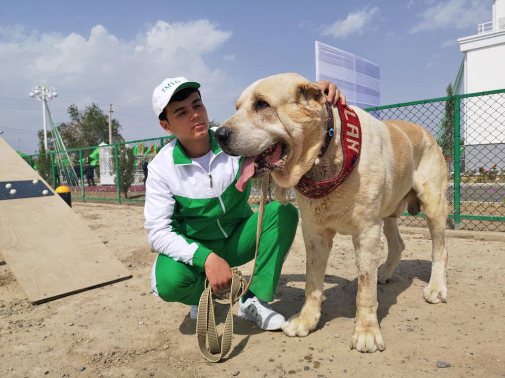 v-turkmenistane-prinyali-zakon-dlya-zashchity-sobak