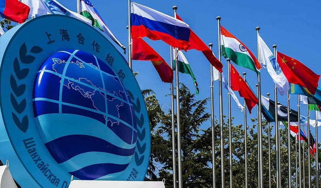 serdar-berdimuhamedov-proposed-create-business-council-turkmenistan-sco