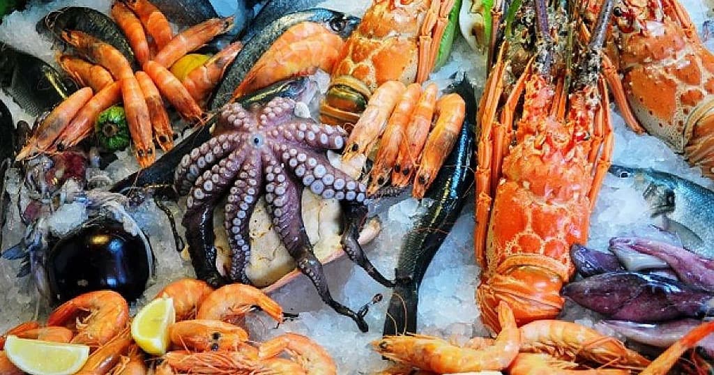 delikatesy-i-moreprodukty-astrahanskie-uchenye-vyrashchivayut-v-yashchike-ne-vyhodya-iz-doma