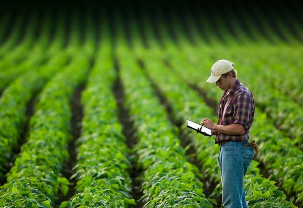 USAID türkmen agronomlaryny ýöriteleşdirilen webinara gatnaşmaga çagyrýar