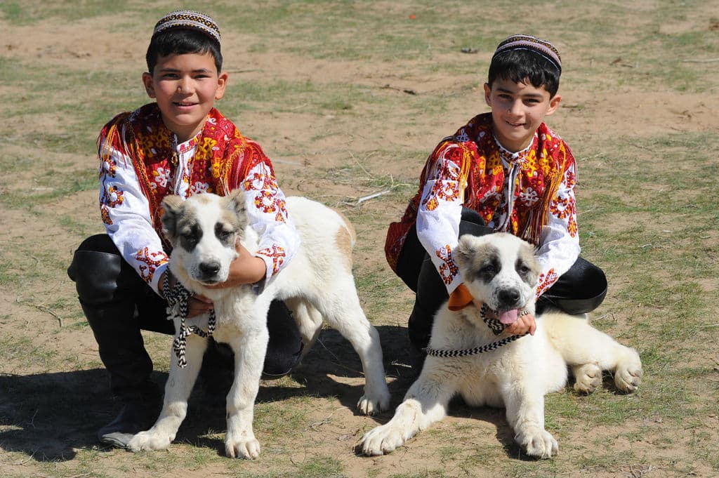 Serdar Berdimuhamedov congratulated his fellow citizens on the Holiday of the Turkmen Alabai