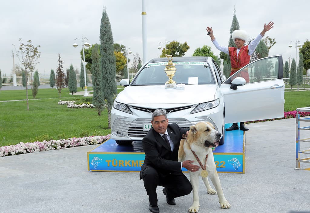 Turkmenistan has chosen the most courageous Alabai of the year