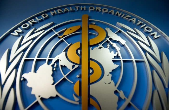 Turkmen experts discussed the application of international food standards at the WHO seminar